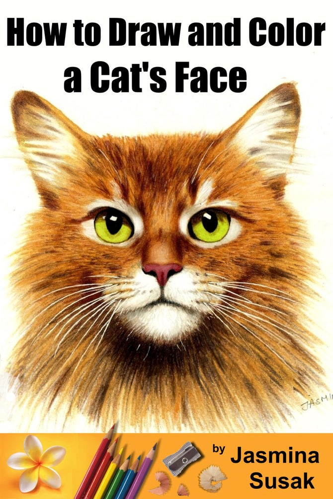 How to Draw and Color a Cat's Face Payhip