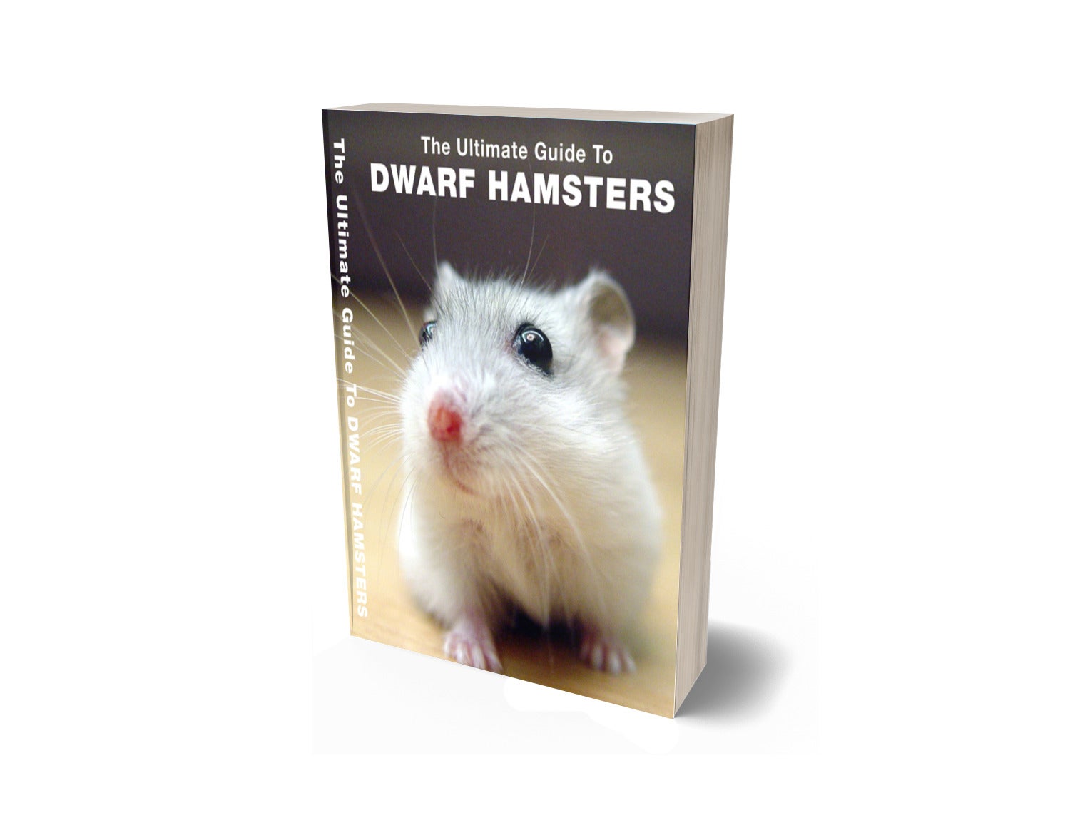 the-ultimate-guide-to-dwarf-hamsters-payhip