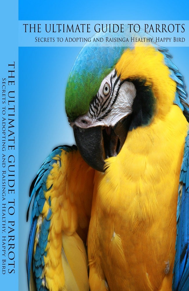 The Ultimate Guide to Parrots Payhip