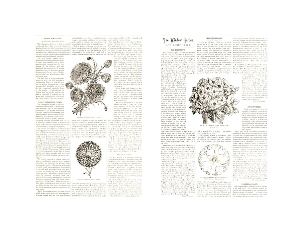 The American Garden 5 Payhip