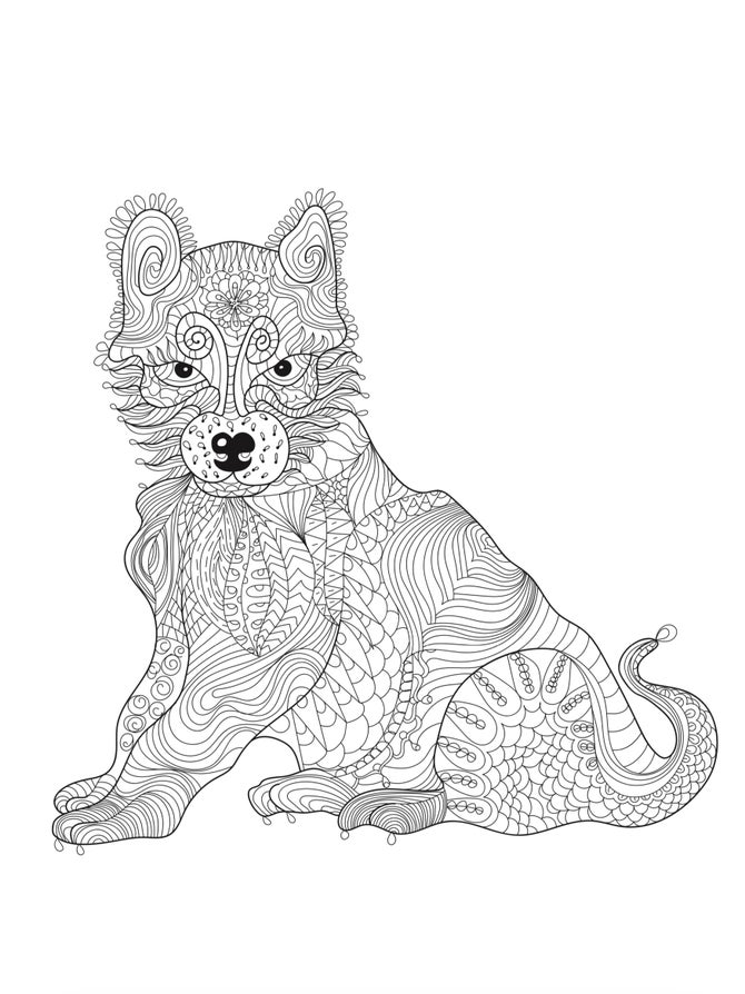dogs adult coloring book payhip