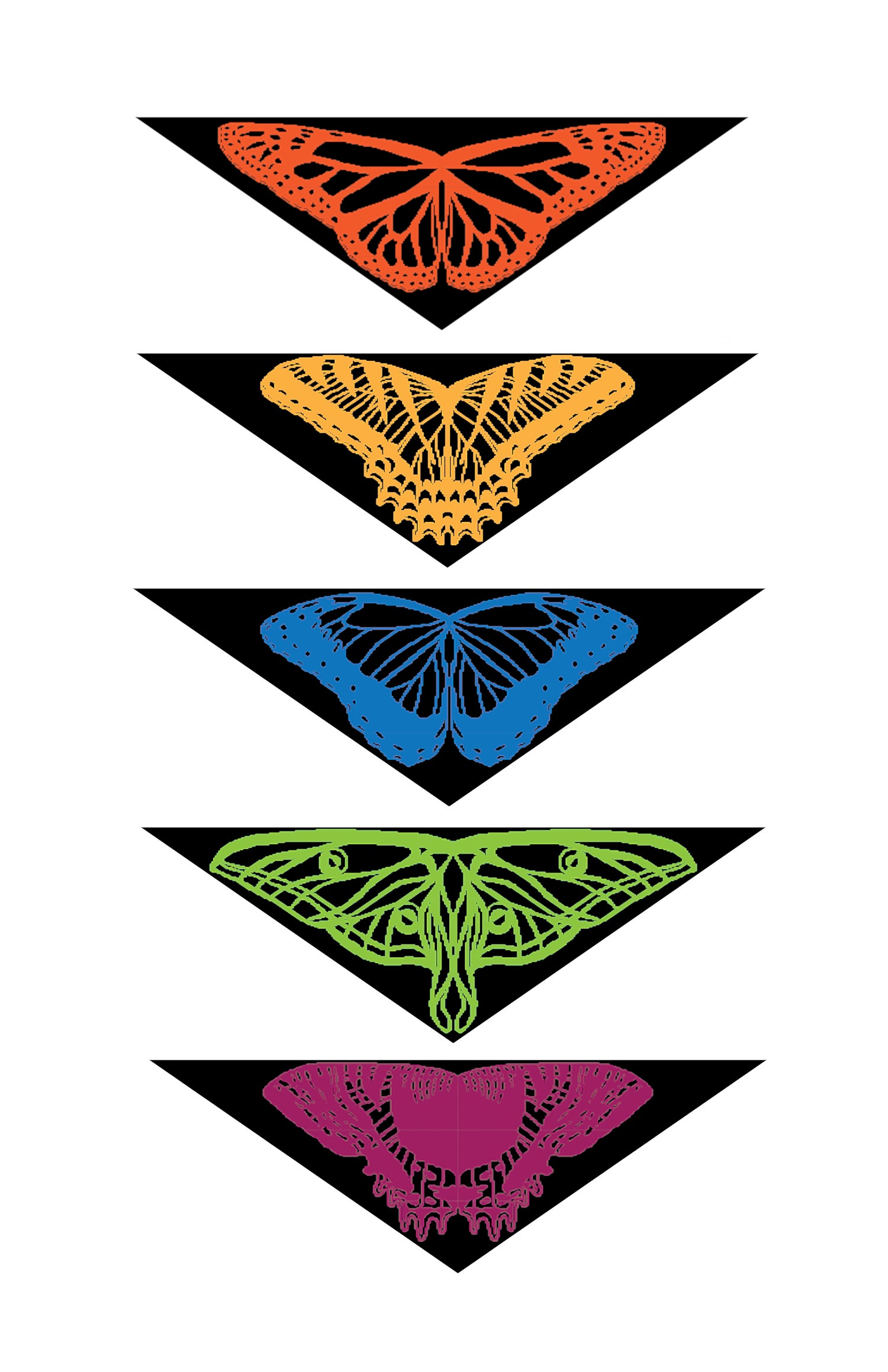 A Kaleidoscope of Butterflies and Moths Shawls (Collection of 5