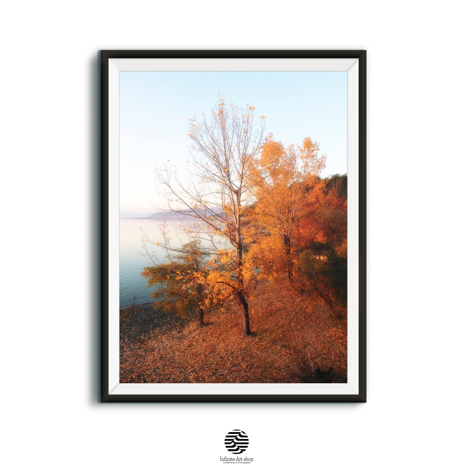 Tree Wall Art Photography,Autumn Coastal Wall Art,Fall Tree photo,Fall Wall Decor,Digital