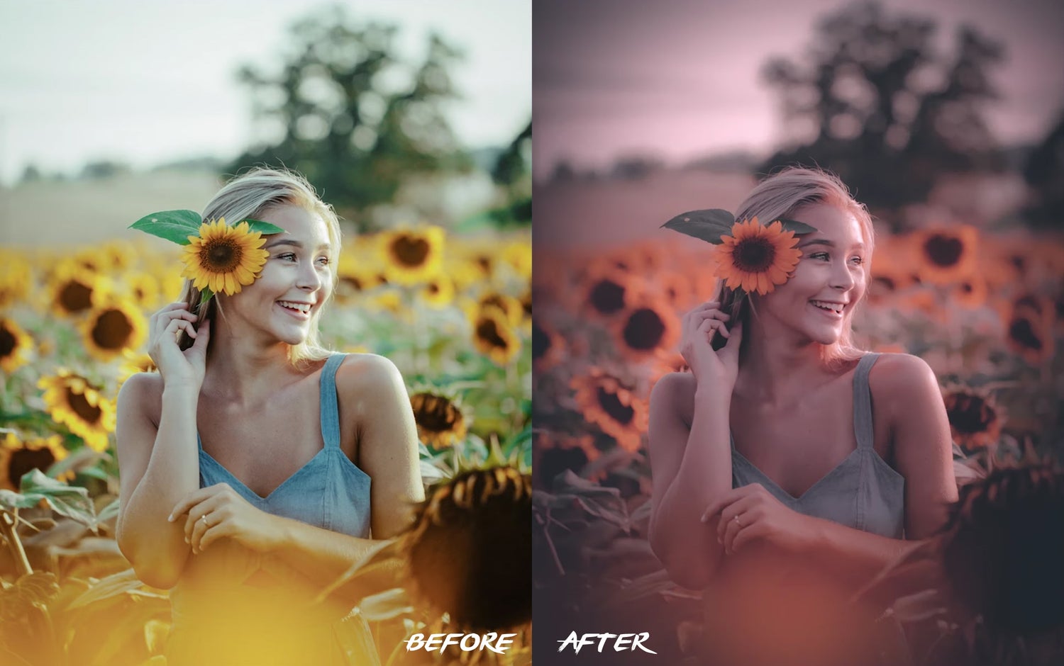 SUNFLOWER Preset Lightroom presets how to edit sunflower photos