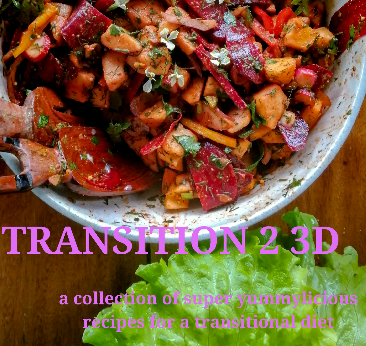 Transitional Diet TRANSITION 2 3D - a collection of super yummylicious recipes for a ...