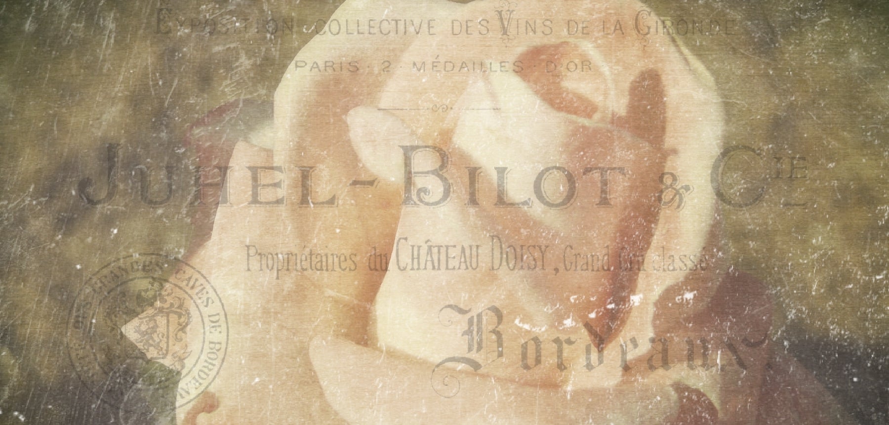 digital designs made with my photography