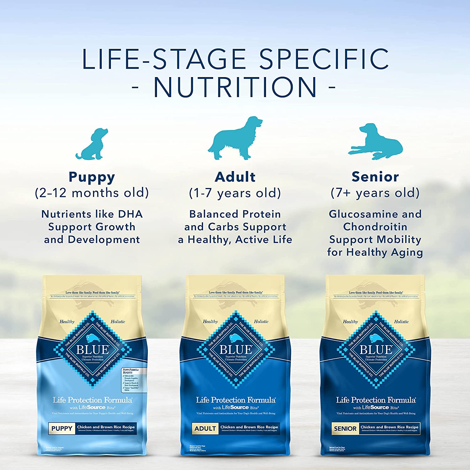 Blue Buffalo Life Protection Formula Natural Adult Dry Dog Food Payhip