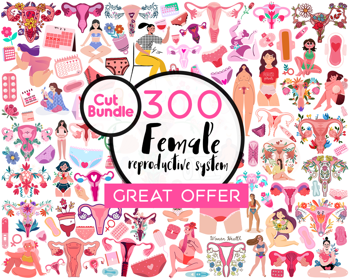 Female reproductive system, Female hygiene, hygiene, women's health