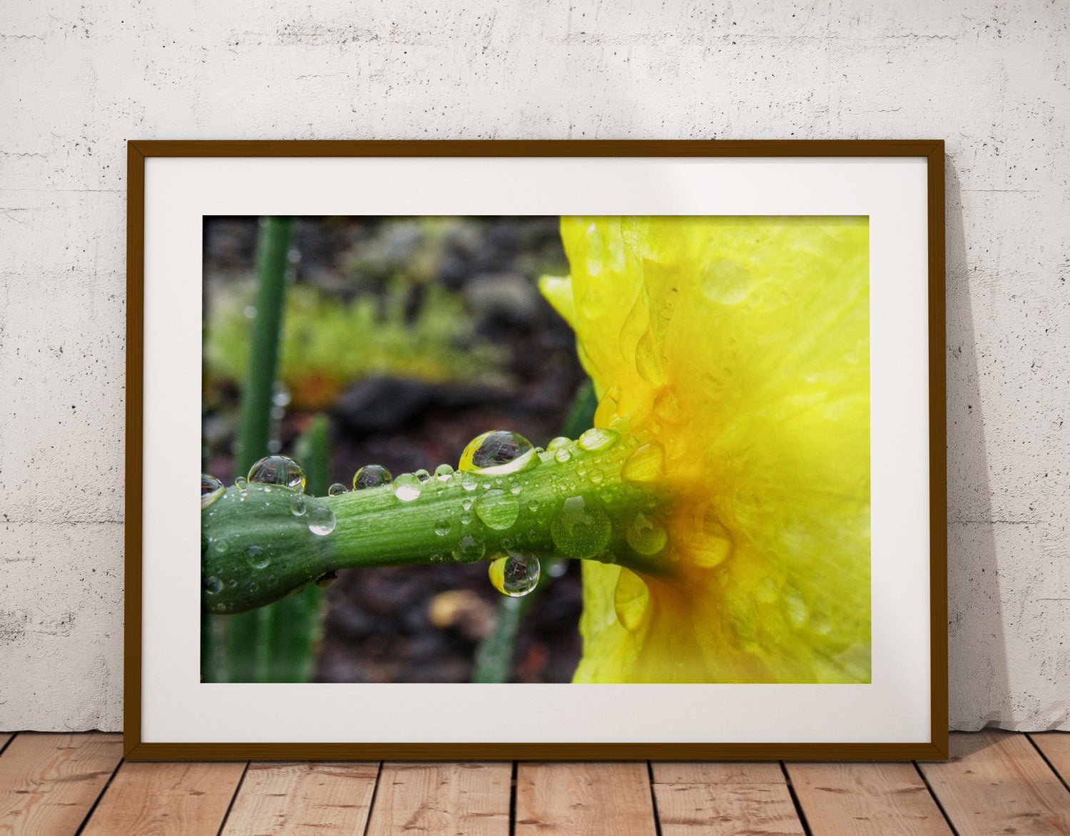 Coastal Rocks NZ Printable Photo Print Wall Photo Art Digital