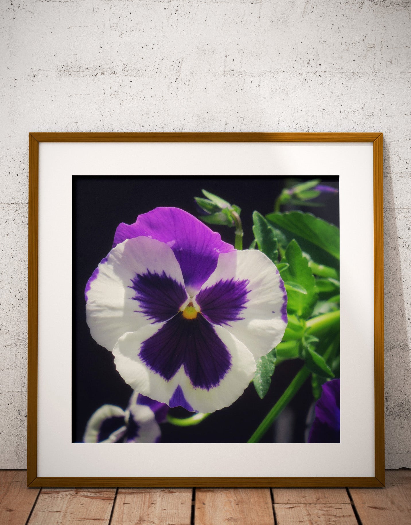 Coastal Rocks NZ Printable Photo Print Wall Photo Art Digital