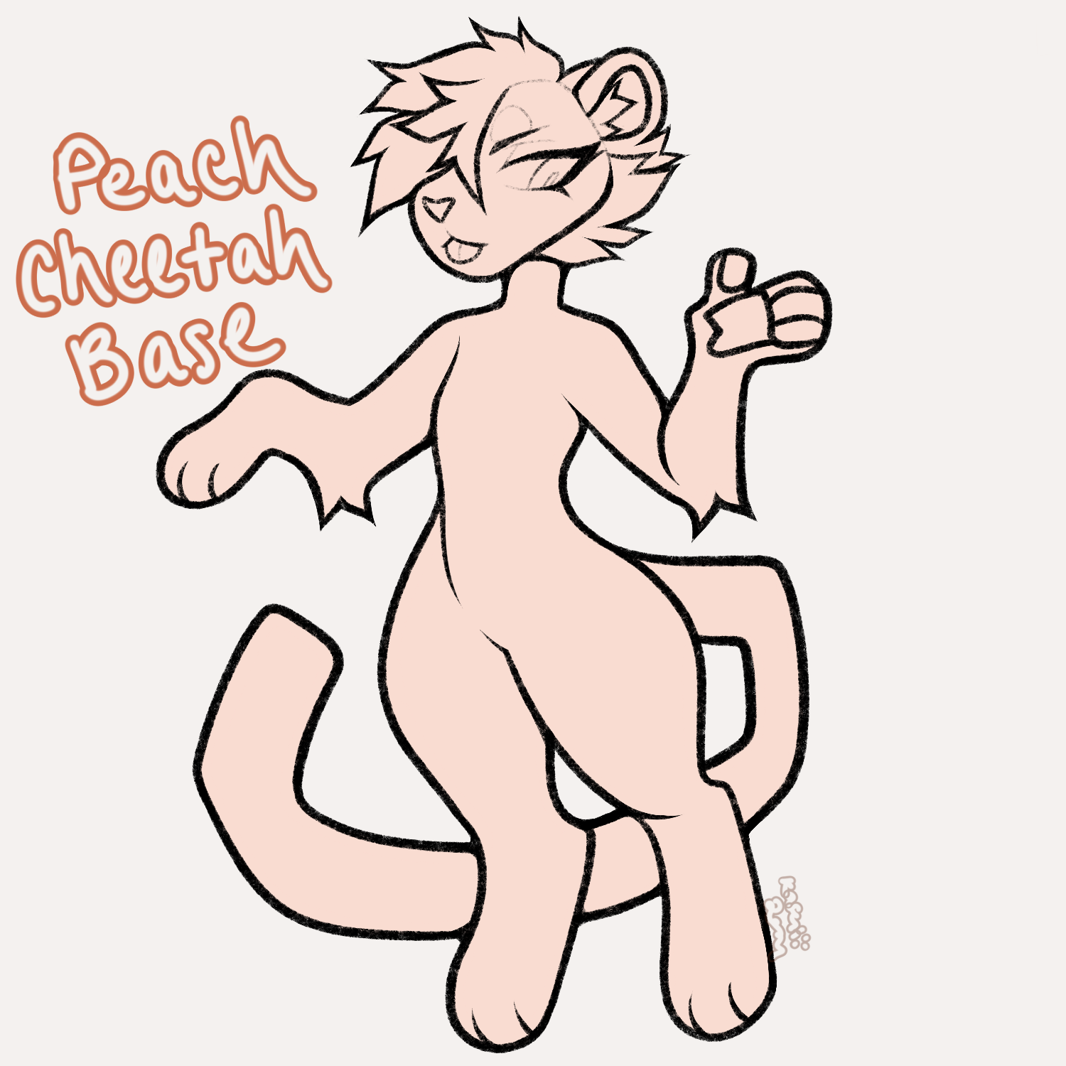 Peach Cheetah Base - Payhip