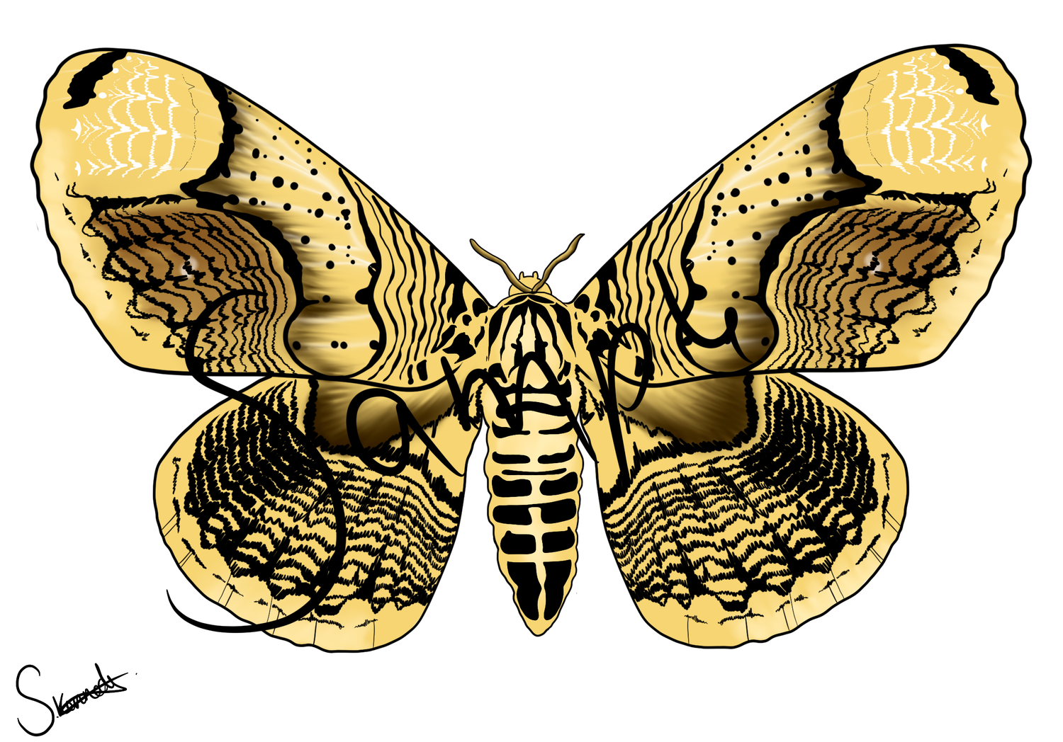 Death Moth Payhip