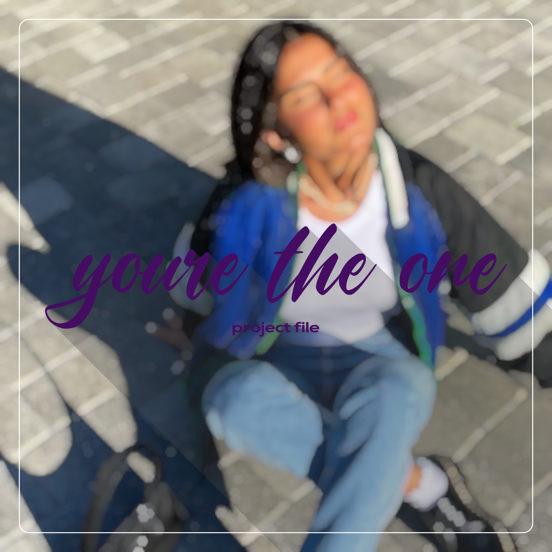 Youre the one project file payhip