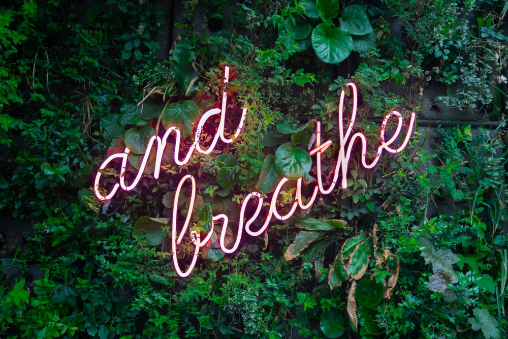 Neon lights say "and breathe" on a background of foliage.