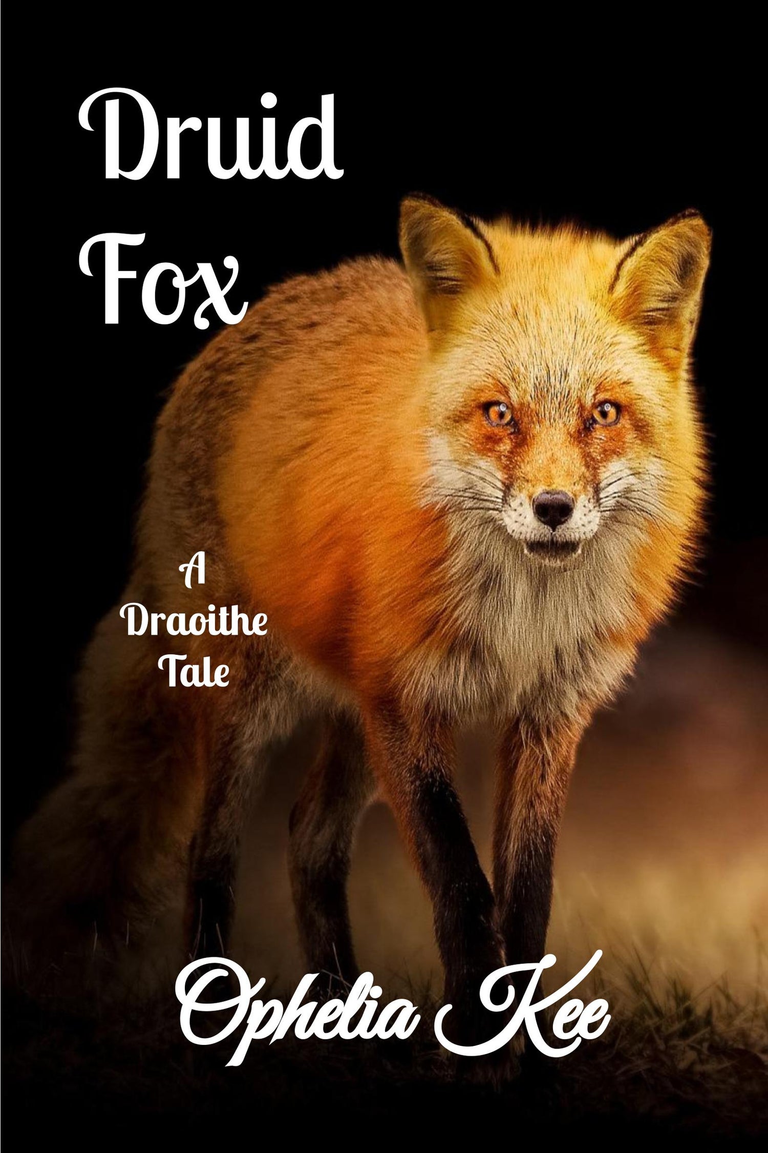 Druid Fox Book cover