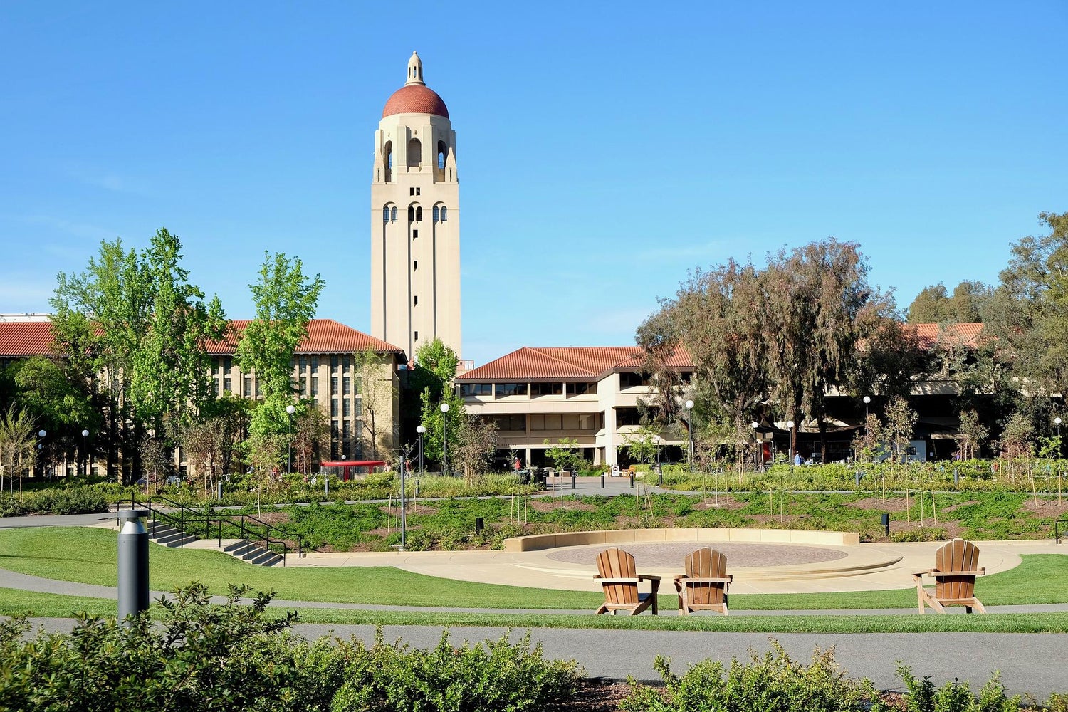 Stanford University