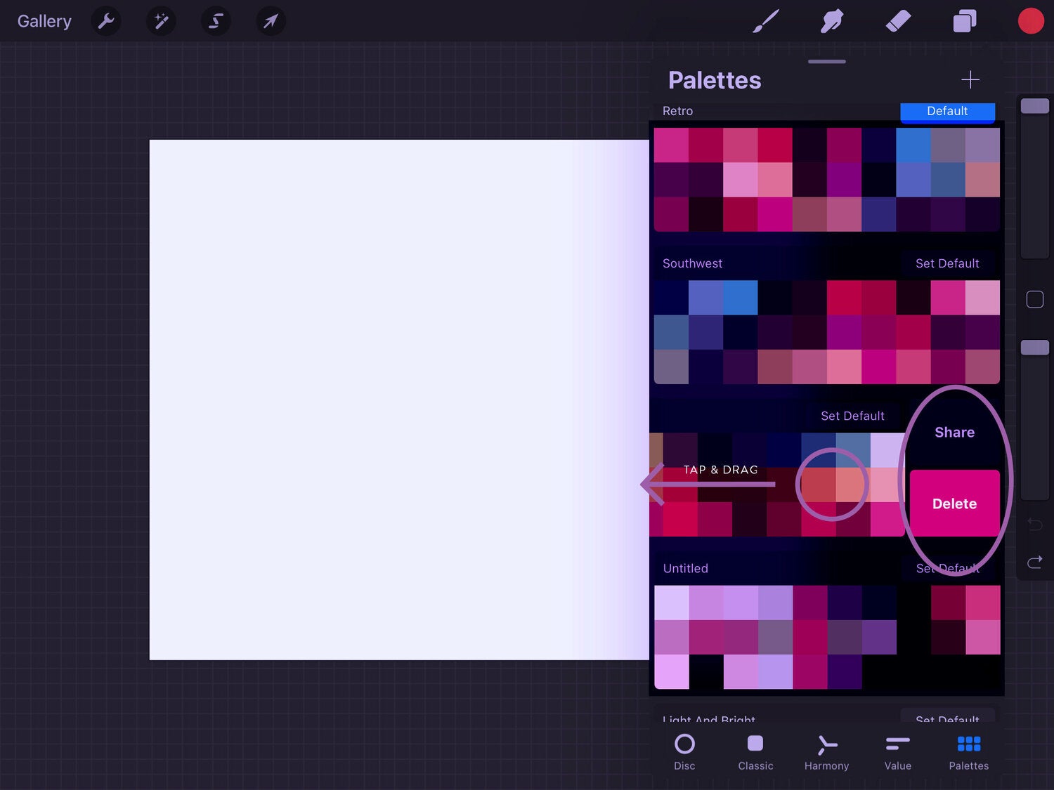 how to share and delete procreate palettes