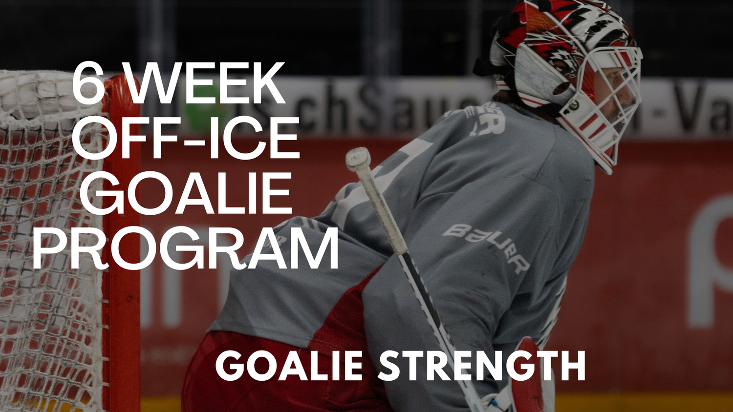 6 Week OffIce Goalie Program Payhip