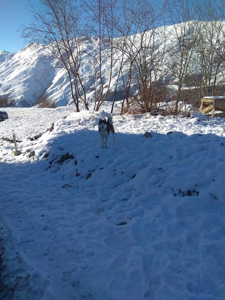 #costeffective #travel #georgia #snow
