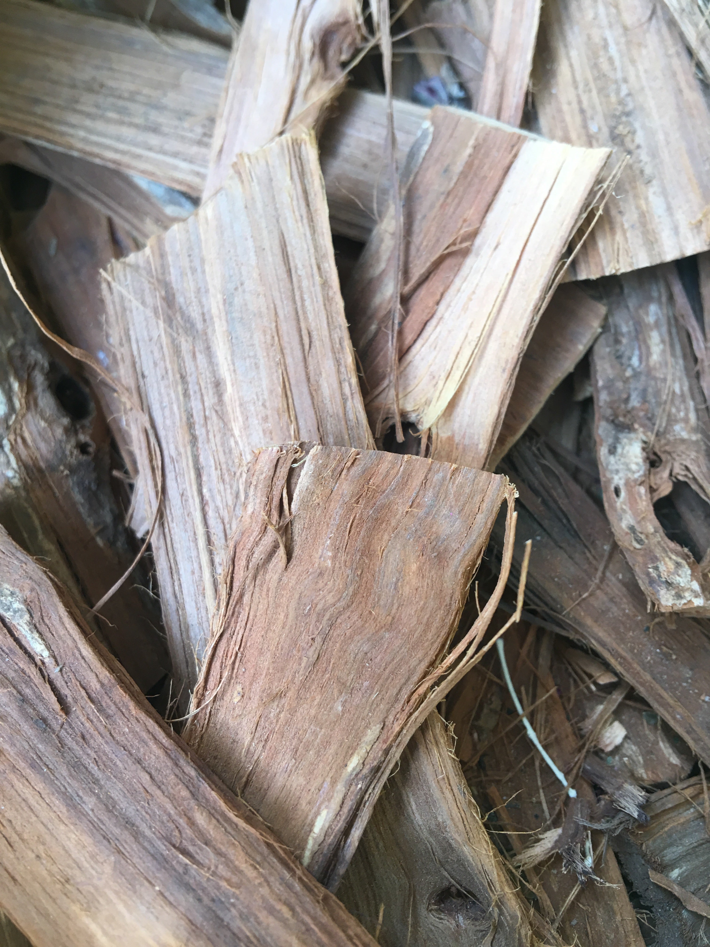 Reviewing Cat's Claw (Uncaria tomentosa) 1 lb Payhip