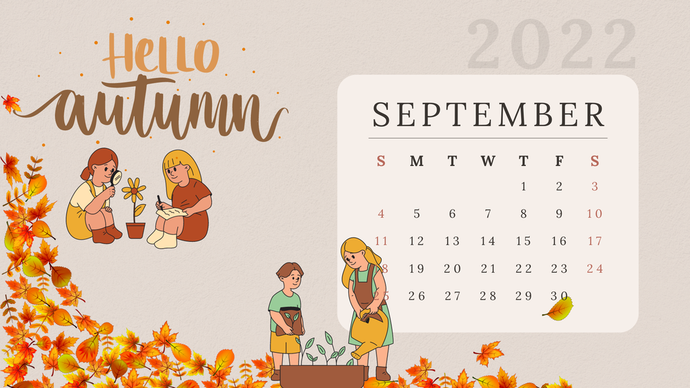 Garden tips for September, hacks, autumn