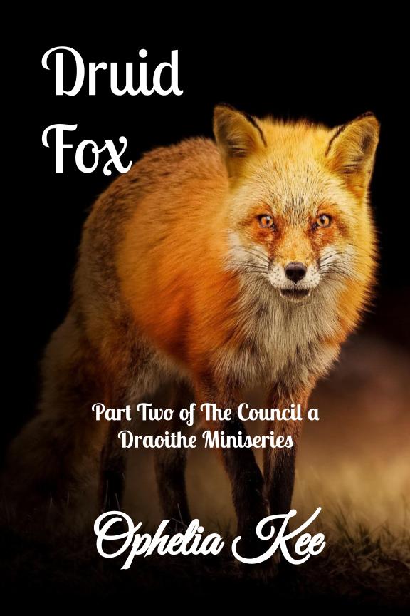 Druid Fox Book Cover