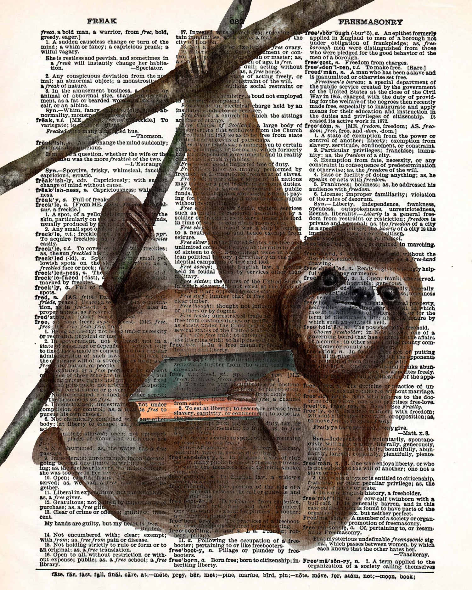 Sloth Reader Dictionary Art Payhip