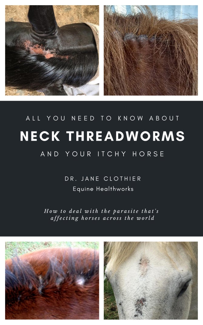 pdf-all-you-need-to-know-about-neck-threadworms-and-your-itchy-horse