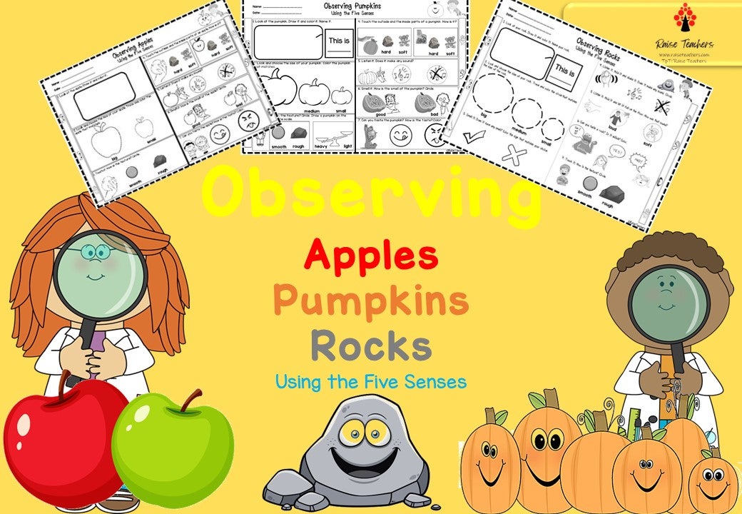 Observing Apples Pumpkin Rocks Worksheets Kindergarten