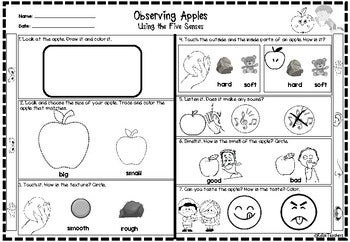 Observing Apples using the five senses kindergarten worksheet