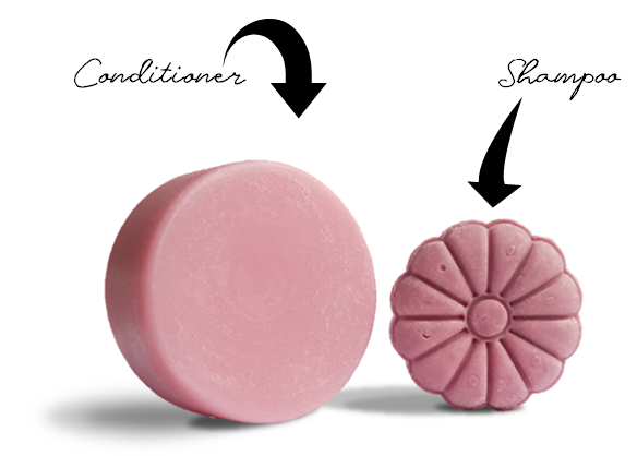 Shampoo bar and Conditioner bar