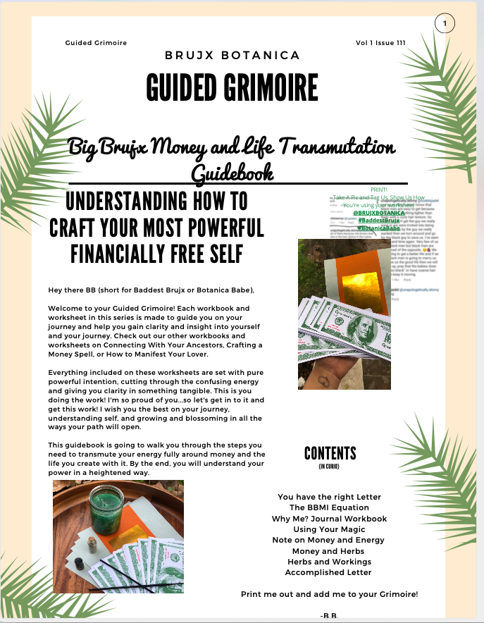 The Complete Money and Life Transmutation Workbook -FULLY LOADED - Payhip