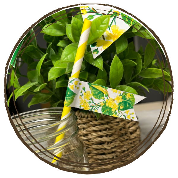 Simply Love PLR How to Create Party Favors in Canva Course