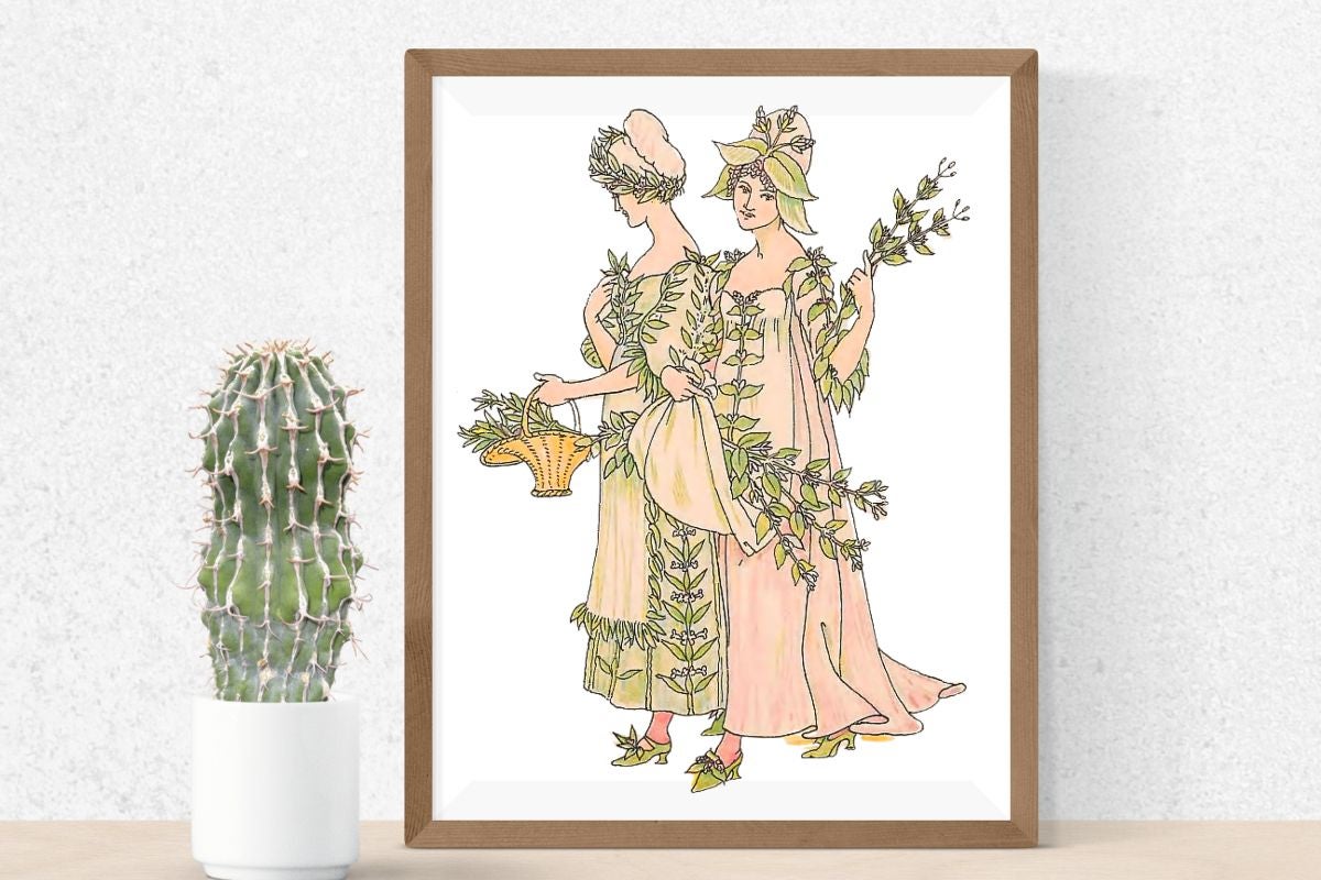 Savory and Marjoram Illustration Payhip