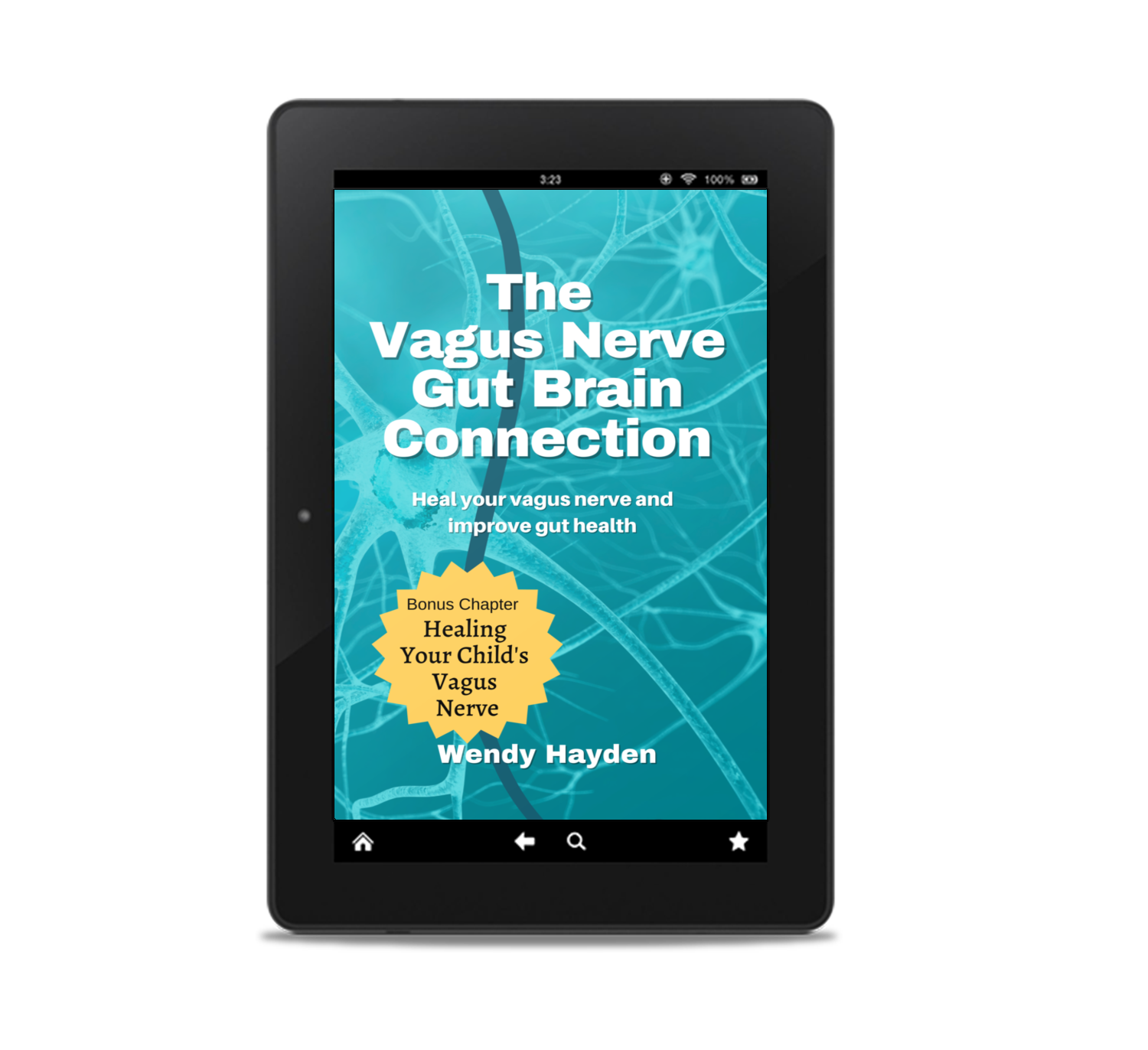 Gut Transformation Payhip