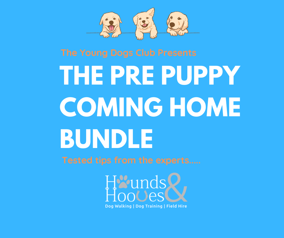 pre-puppy-coming-home-bundle-payhip