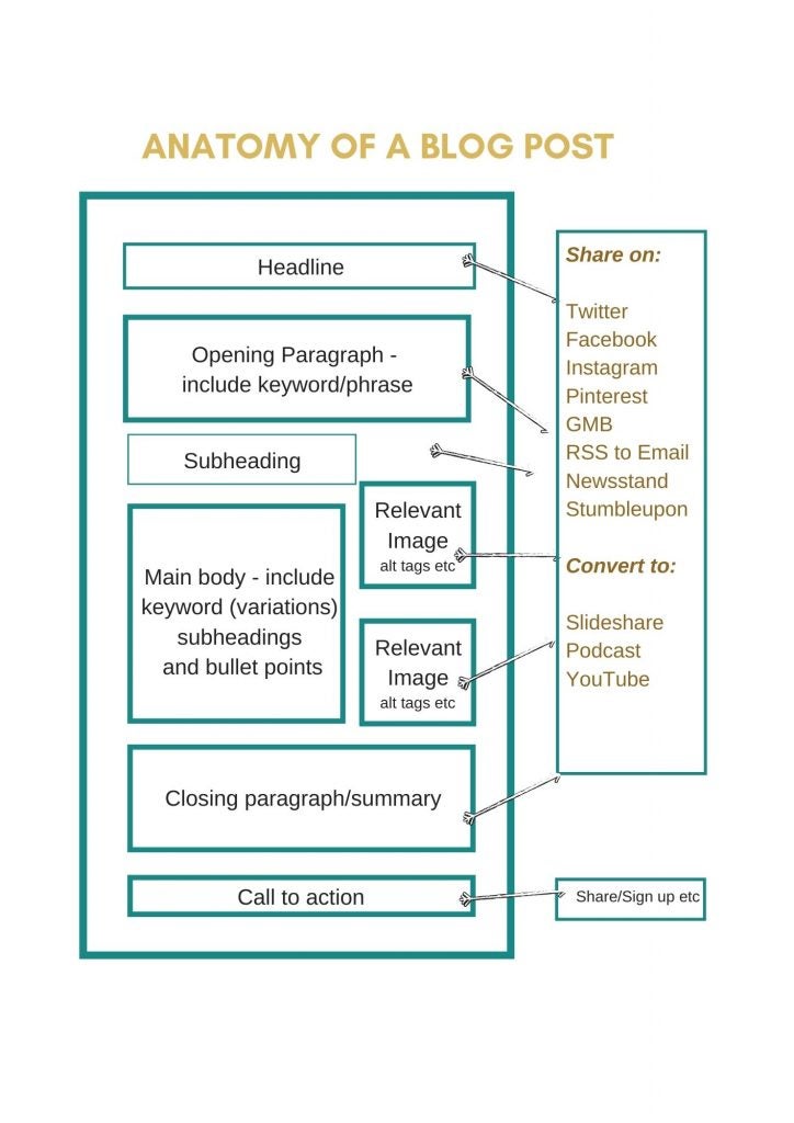 seo bog anatomy