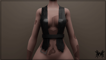Belt Top