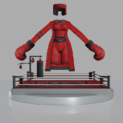 Boxing Gym