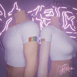 ⁺♡˚·﹙ pride stripes. ﹚ fem & masc t-shirt pack (free)