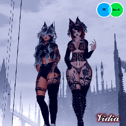 VIDIA (PC + Quest)
