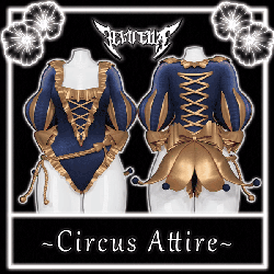 Circus Attire