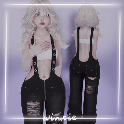 ♡ Street Overalls ♡