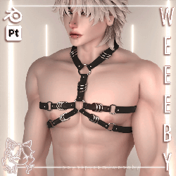 Akii Chest Harness [VRChat Asset]