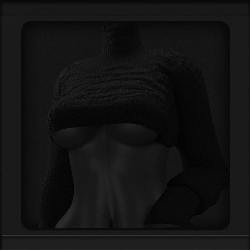 CROPPED TRTLENECK | BY BREANNU