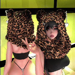 Bear Hoodie