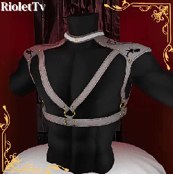 ★ Harness 2★