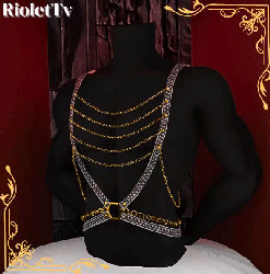 ★ Harness 3★