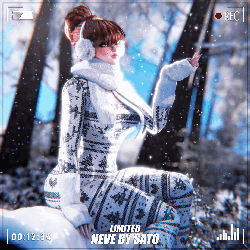 NEVE (GOGO;&OPTI;&VCFT;&SPS;)