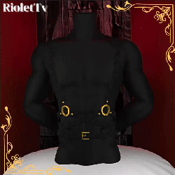 ★ Harness 4★